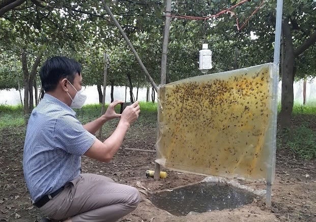 Chú trọng biện pháp sinh học phòng trừ sâu róm hại táo | Journal of ...