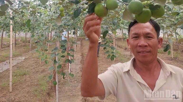 ''